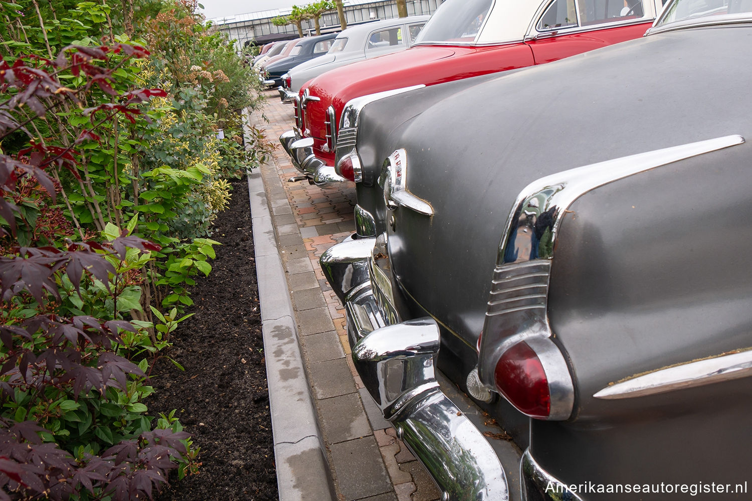 Packard 300 uit 1951