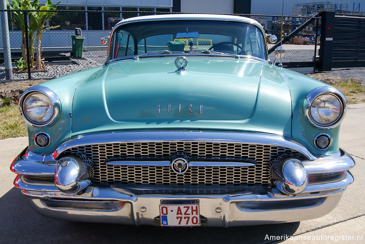 Buick Special uit 1955