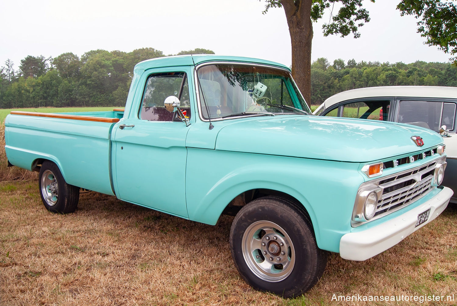 Ford F-Series uit 1966