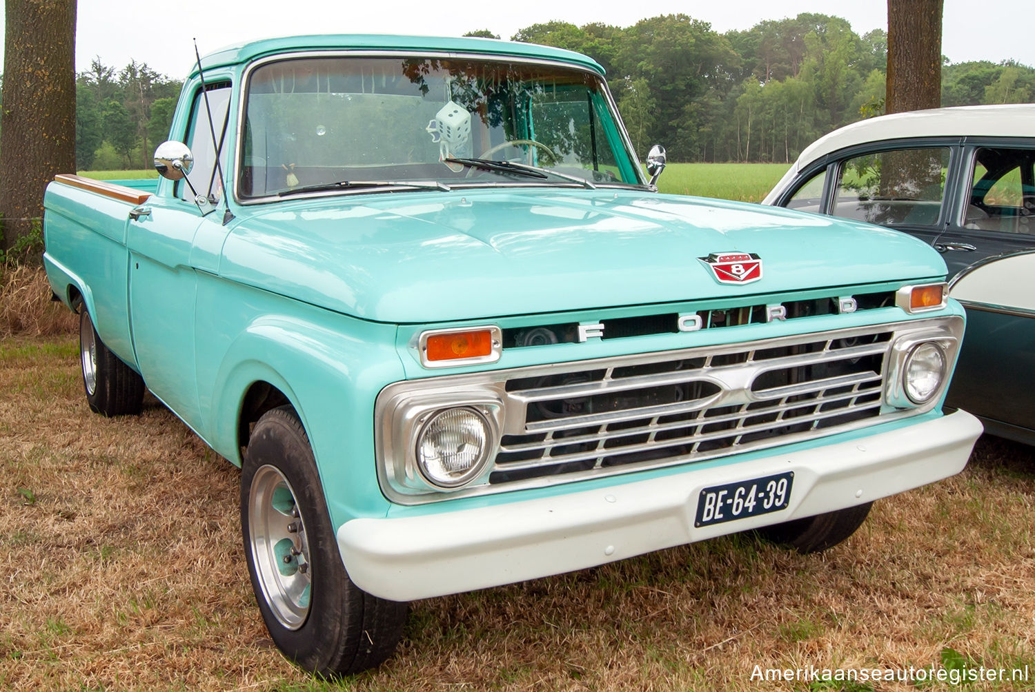 Ford F-Series uit 1966