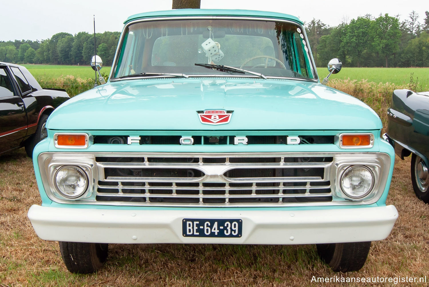 Ford F-Series uit 1966