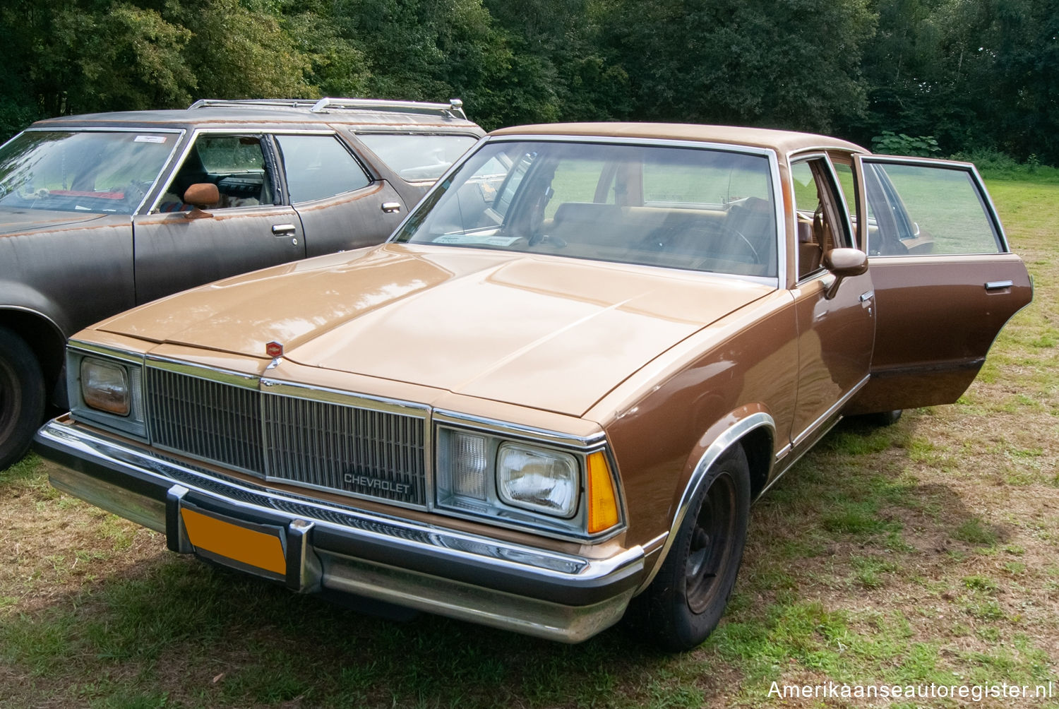 Chevrolet Malibu uit 1980