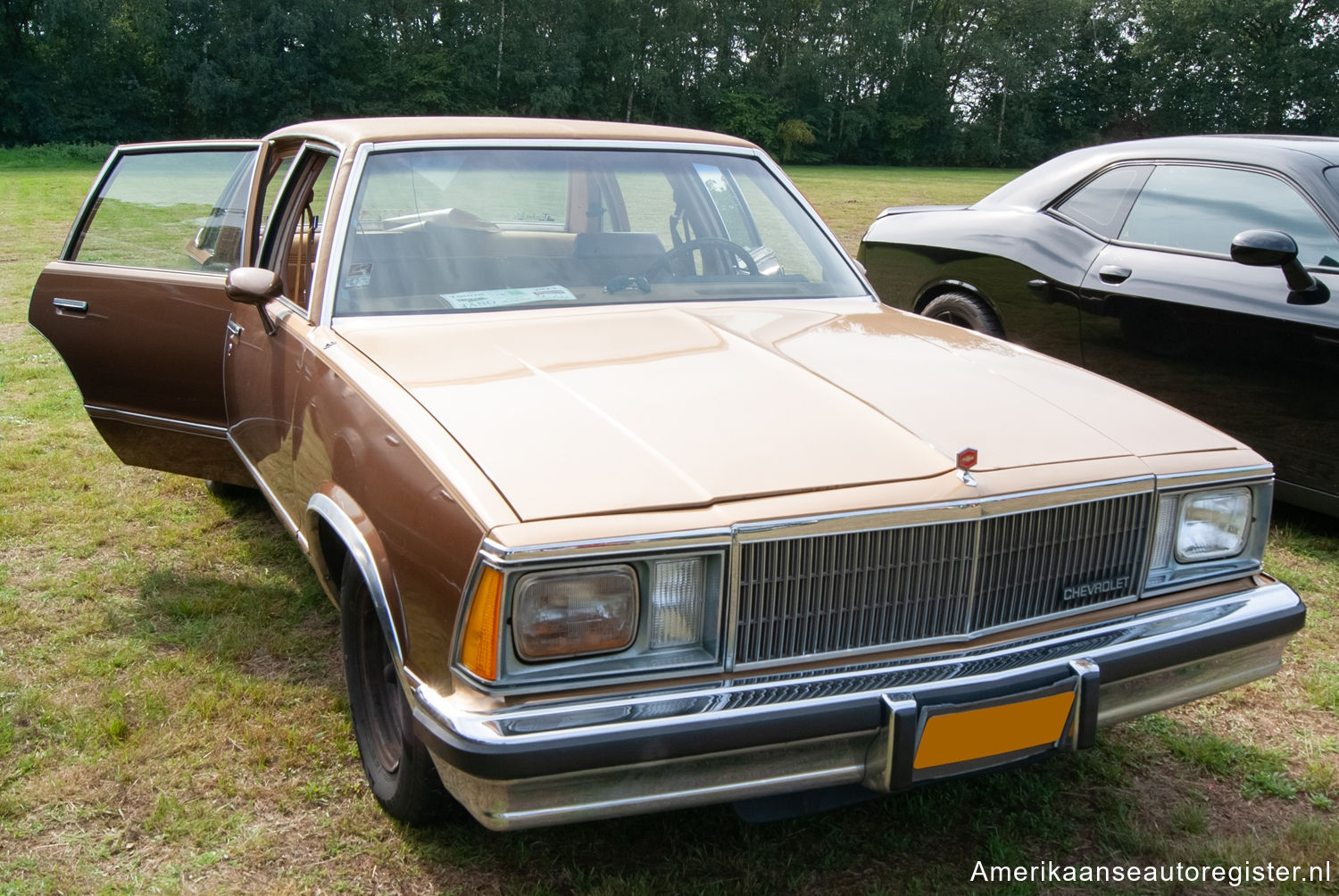 Chevrolet Malibu uit 1980