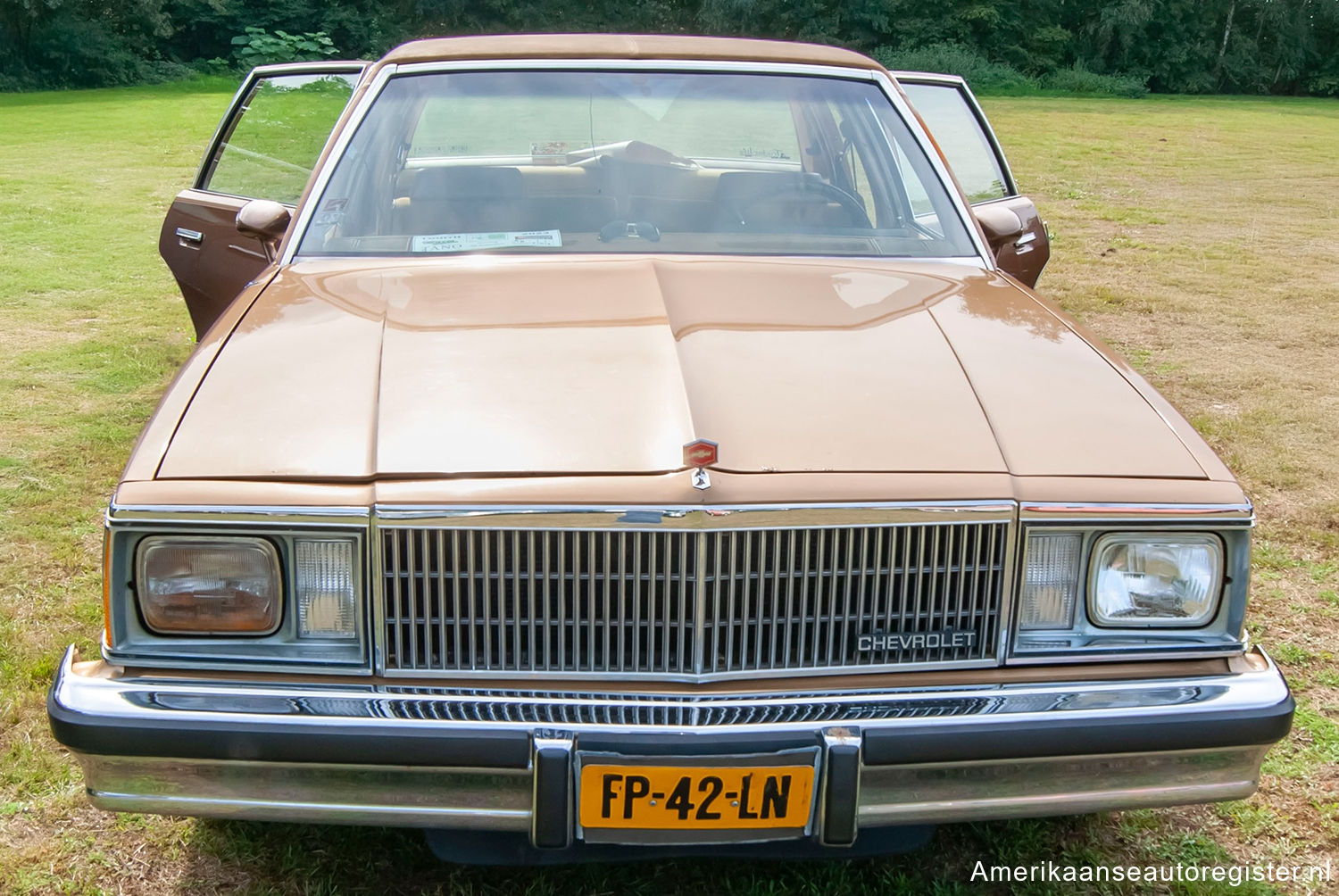 Chevrolet Malibu uit 1980