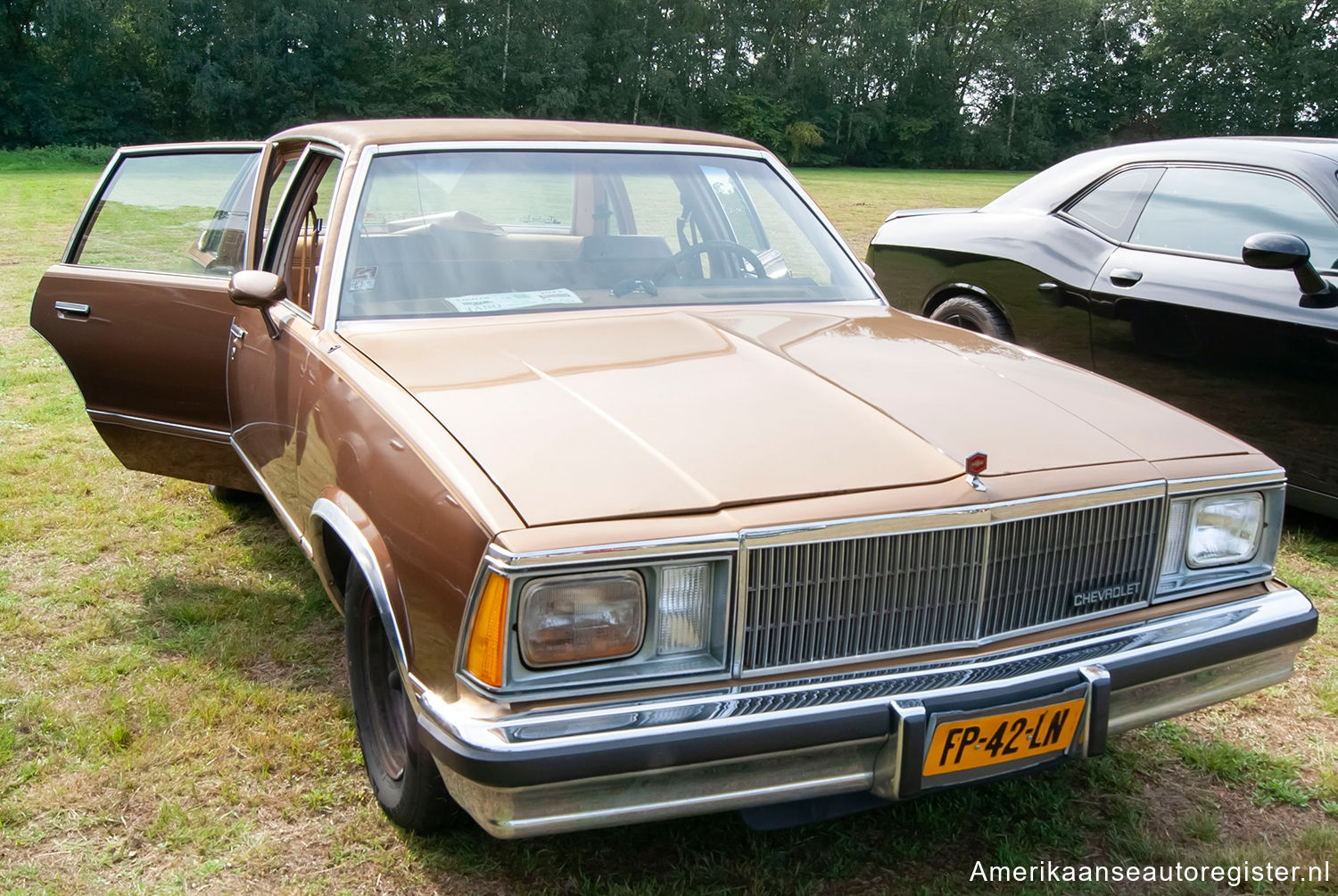 Chevrolet Malibu uit 1980