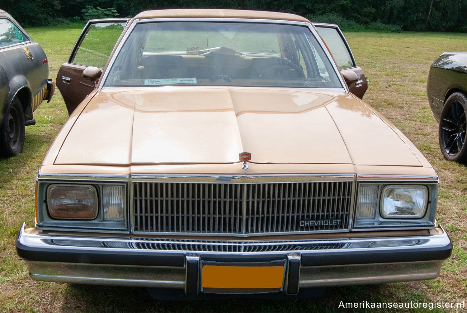 Chevrolet Malibu uit 1980