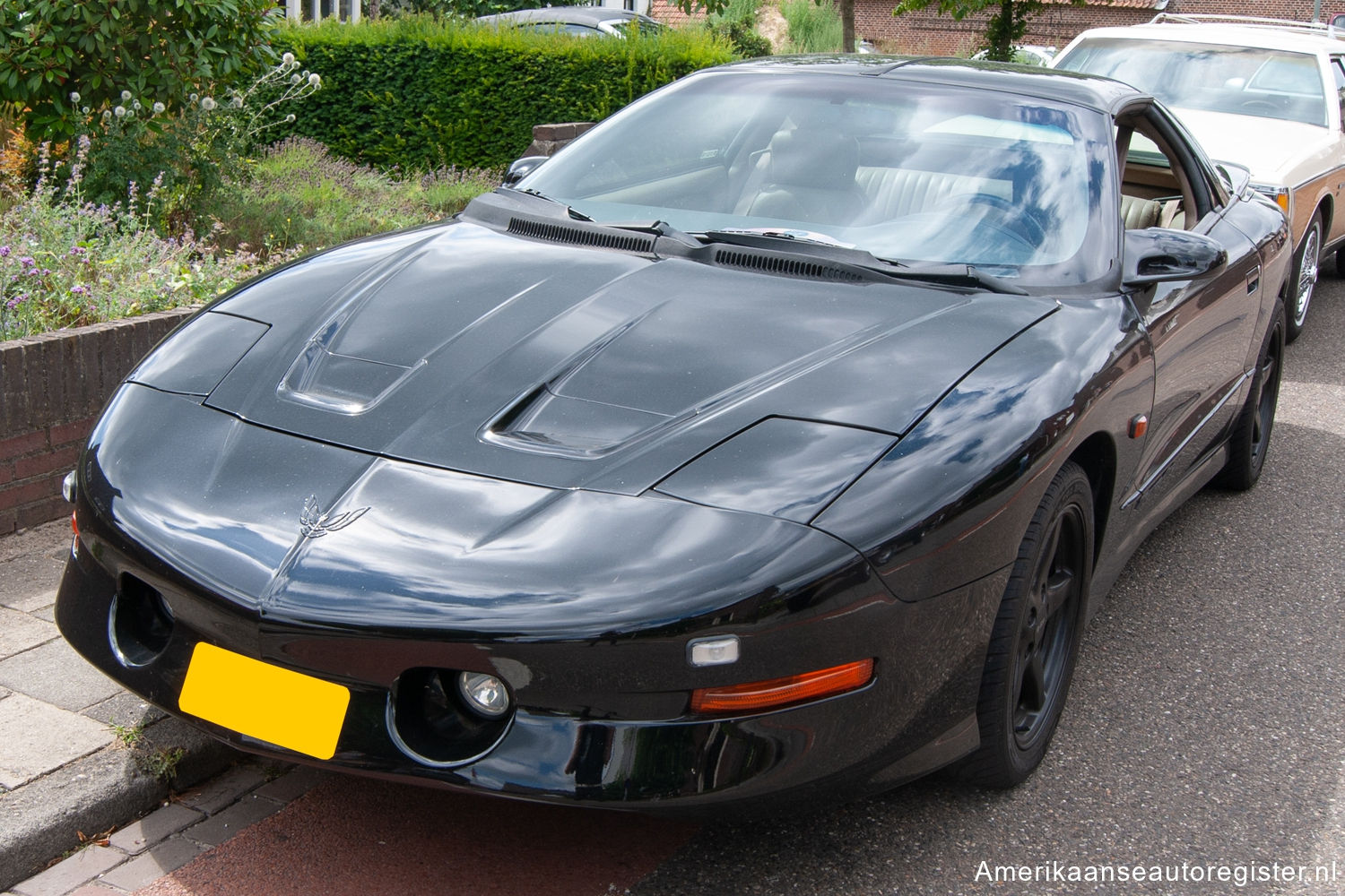 Pontiac Firebird uit 1993