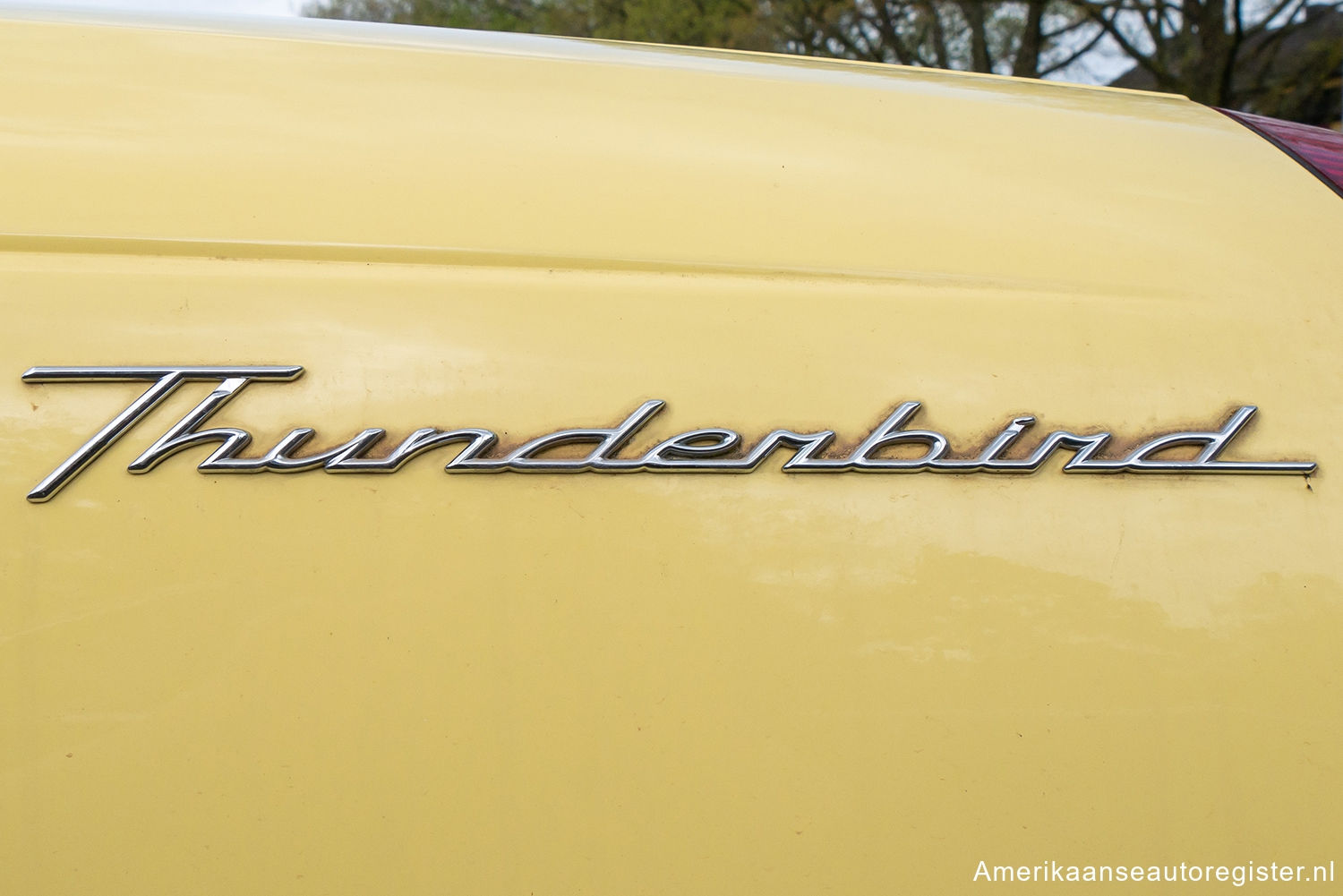 Ford Thunderbird uit 2002