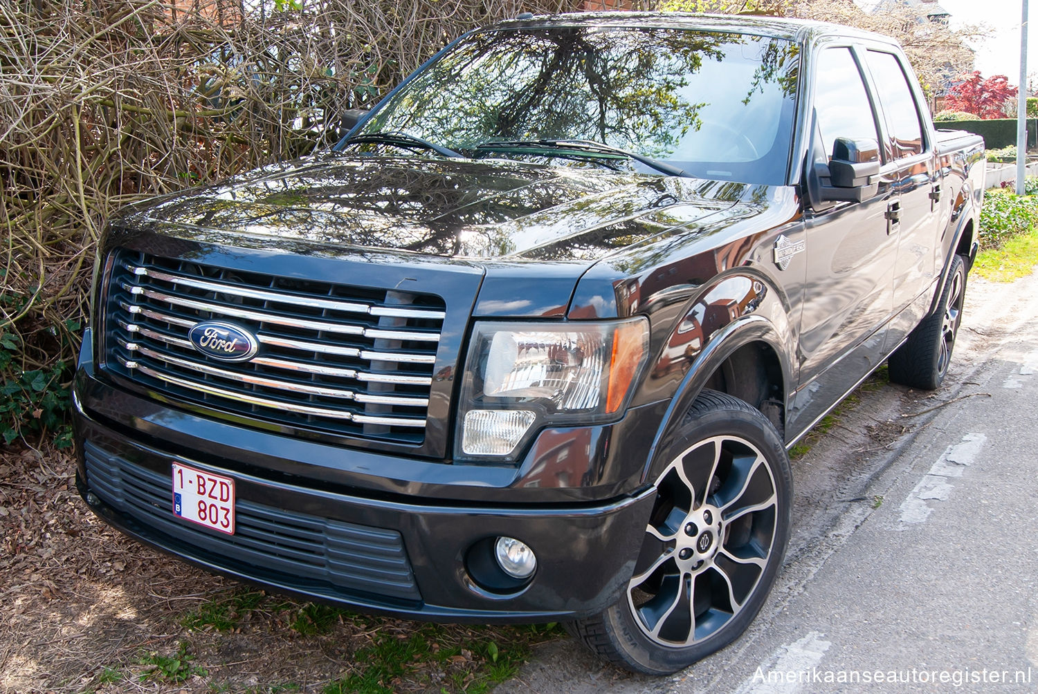 Ford F-Series uit 2009