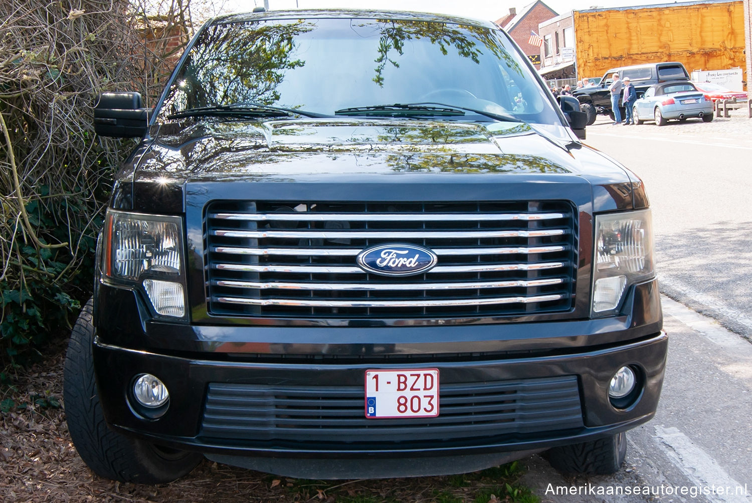 Ford F-Series uit 2009