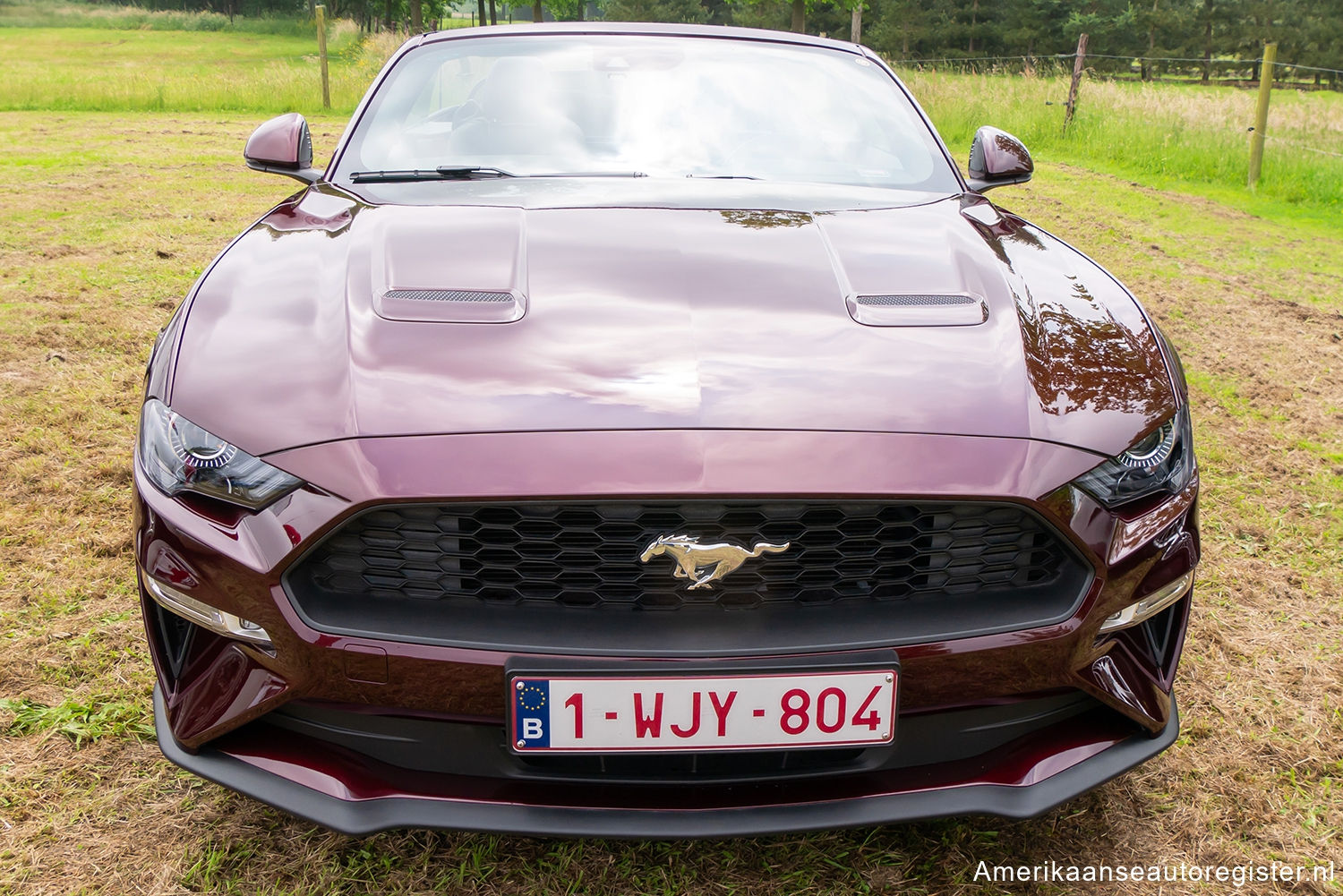 Ford Mustang uit 2018